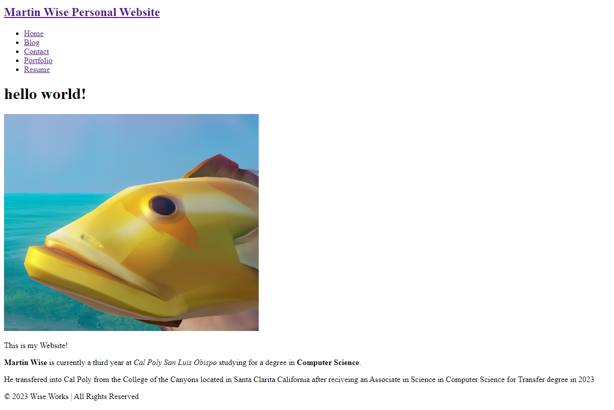 screenshot of the home page of my website